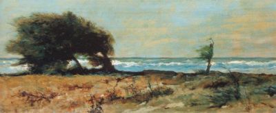 Albero al mare
