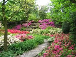 Il giardino del cuore