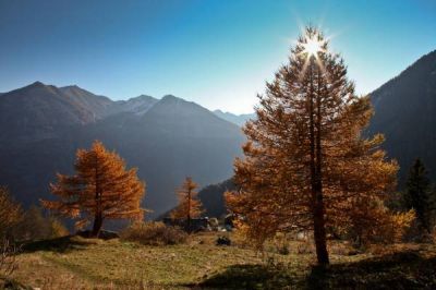 L�alto novembre