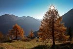 L�alto novembre