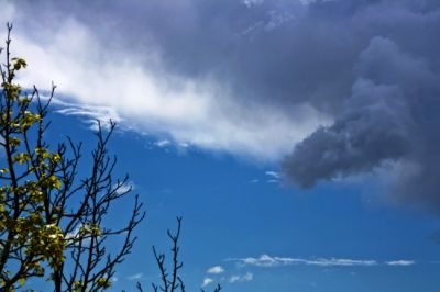 S�aprissero cieli stasera
