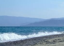 Salsedine