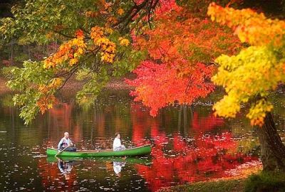 Sentore d�autunno