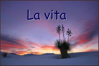 L�evolversi della mia vita