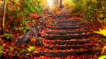 Autunno