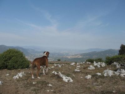 Immensi spazi