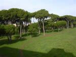Pineta