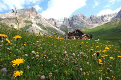 Nell�armonia della natura