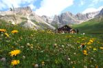 Nell�armonia della natura