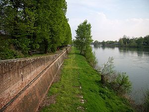 Lungo l�argine della vita