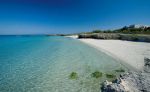 Nell�assoluta luce solare