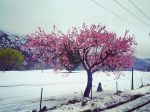 L�odore dell�inverno