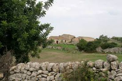 Cara terra