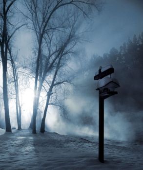 Nebbia Notturna