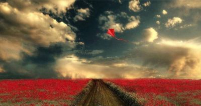 L'aquilone rosso