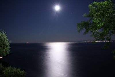 Notte Magica