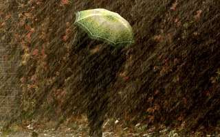 Autunno
