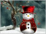 Neve