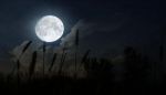 The shapes of the moon