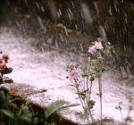 Impercettibile