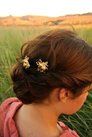Chignon