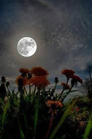 Poetic forms