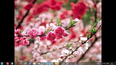Nuova primavera