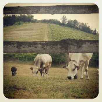 En passant