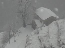 Neve