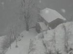 Neve