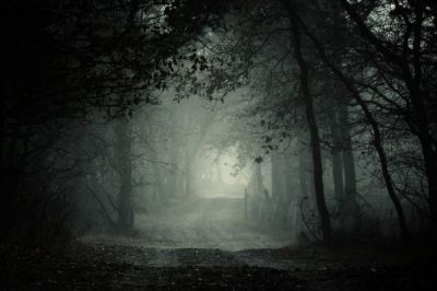 Nella notte
