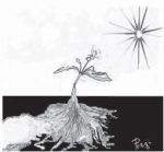 Tenero germoglio
