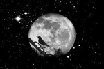 Notte di giugno