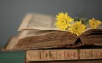 Pagine di vita
