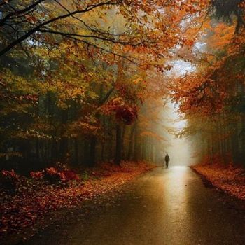 Visioni d'autunno