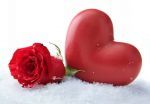Nasce un amore