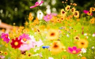 Le pause del tempo