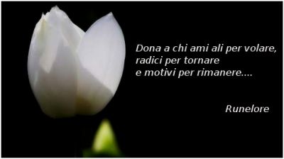 Verr� a trovarti