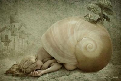 Conchiglie