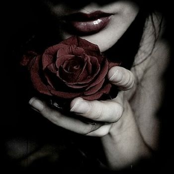 Bouquet d'Amour