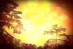 Verso il sole (insieme)
