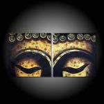 Istinto animale - Br�hmana