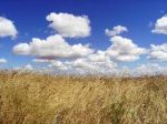 La terra dell�oltre e dei sogni