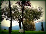 Montecassino