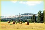 Assisi