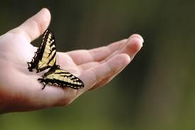 Si � svegliato il sole