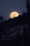 Ecate l'oscura