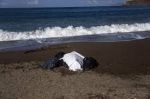 In questo silenzio d�ombra
