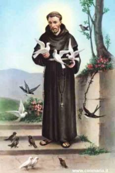 Caro Francesco