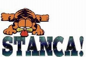 Stanca